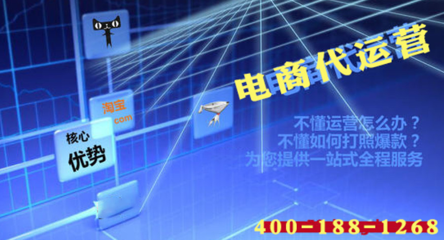 天貓代運營如何通過數(shù)據(jù)分析獲得精準(zhǔn)的用戶-美御麥得好電商