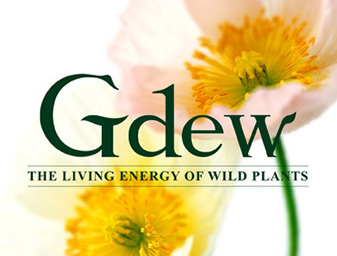 Gdew化妝品logo設計