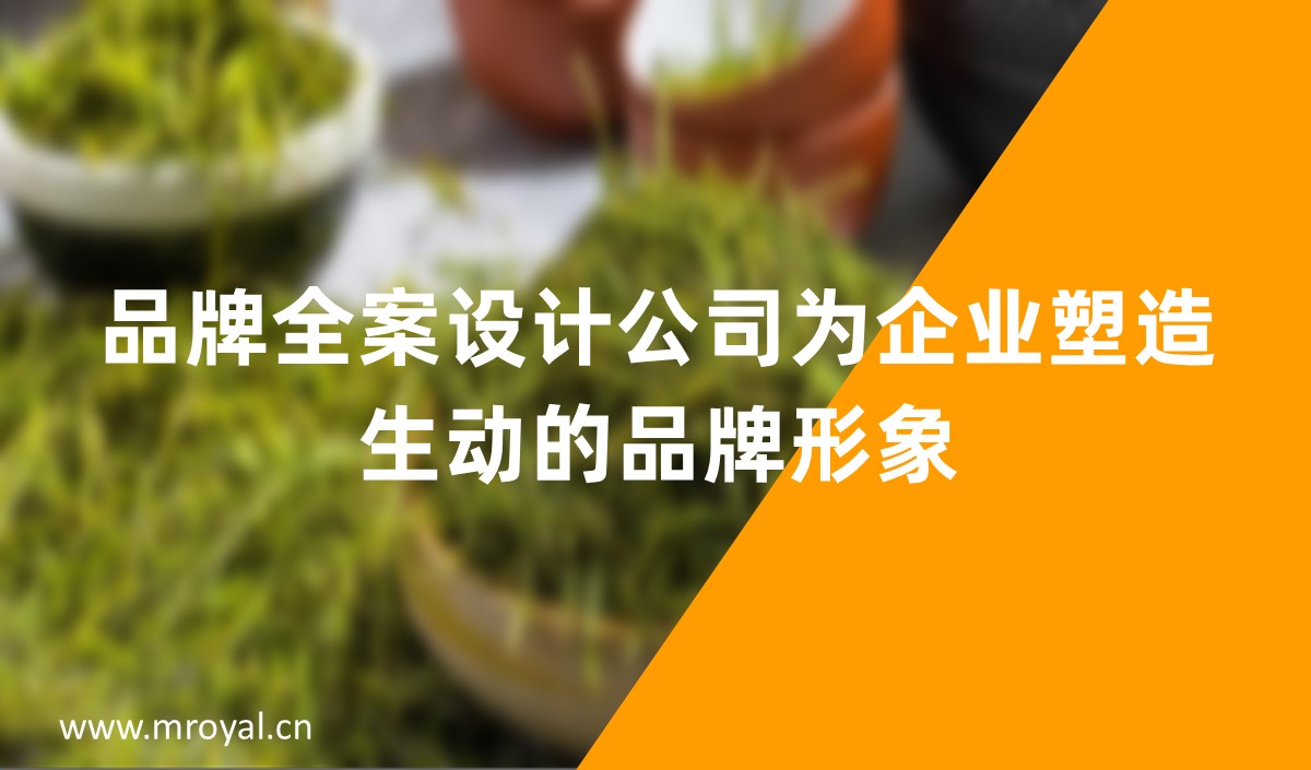 品牌全案設(shè)計(jì)公司為企業(yè)塑造生動(dòng)的品牌形象-美御全案設(shè)計(jì)