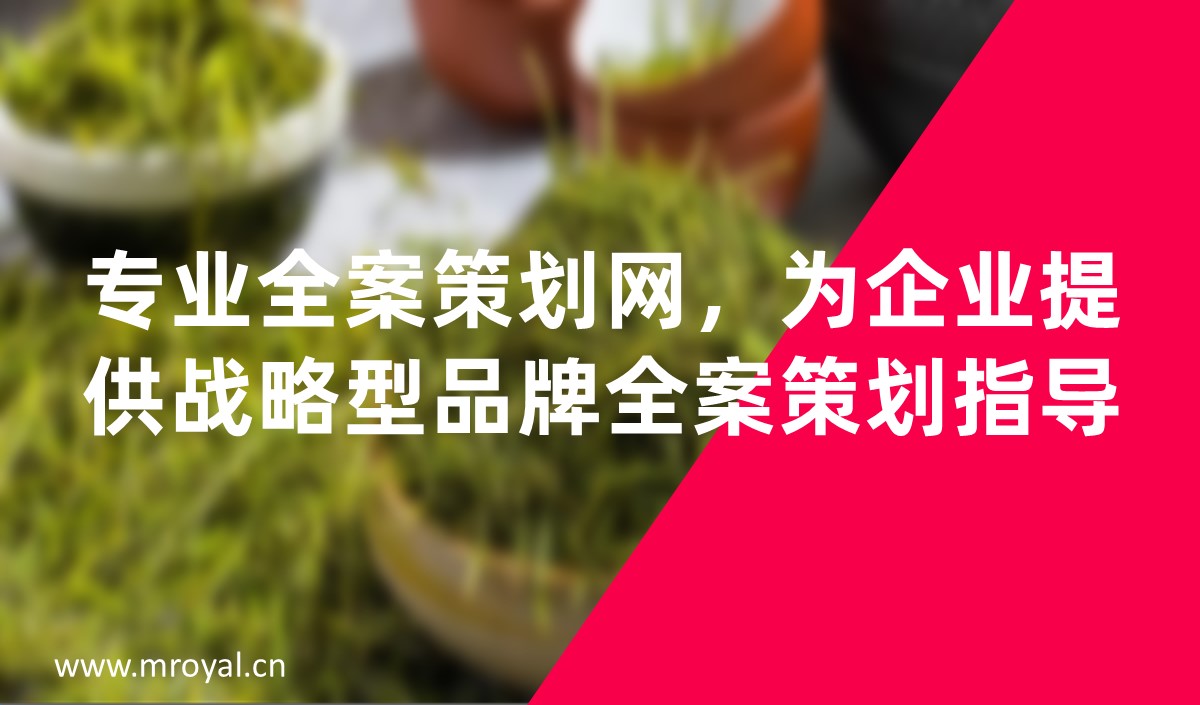 專(zhuān)業(yè)全案策劃網(wǎng)，為企業(yè)提供戰(zhàn)略型品牌全案策劃指導(dǎo)