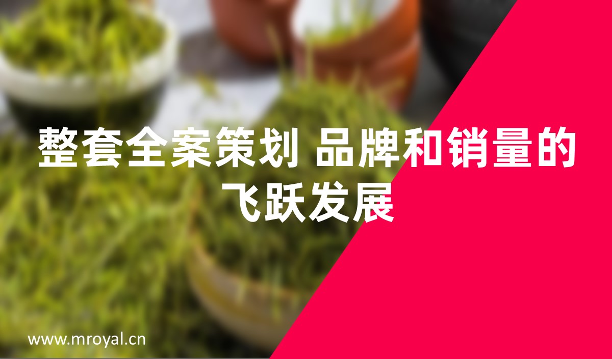 整套全案策劃 品牌和銷(xiāo)量的飛躍發(fā)展