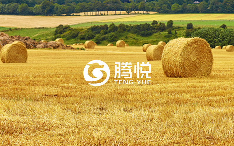 肥料品牌策劃，騰悅肥料