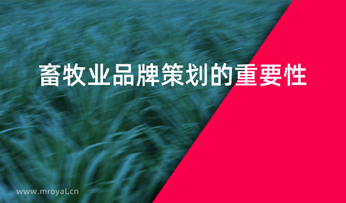 畜牧業(yè)品牌策劃的重要性，畜牧業(yè)品牌化是提高市場占有率重要手段